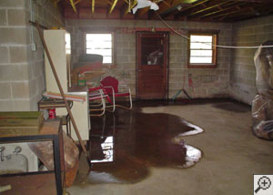 water pooling on the floor of a wet basement.