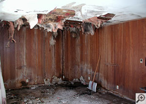 A finished basement that has been completely destroyed by flooding, mold, rot, and mildew.  All materials will need to be ripped out.