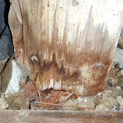 A wet, rot-damaged crawl space support post in contact with the dirt floor.