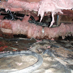 Soaked fiberglass insulation in a crawl space that's falling to the floor as it's weighed down by moisture.