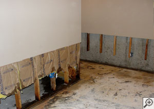 Drywall, fiberglass, and studs removed to allow for a basement drain system.