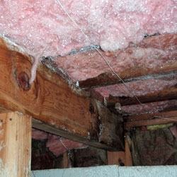 Soaked fiberglass insulation in a crawl space