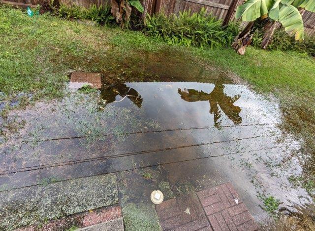 Standing Water After Rainfall