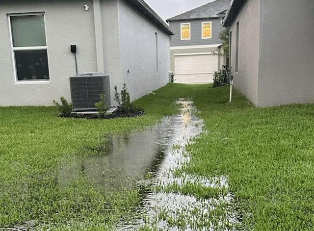 Soggy Lawn