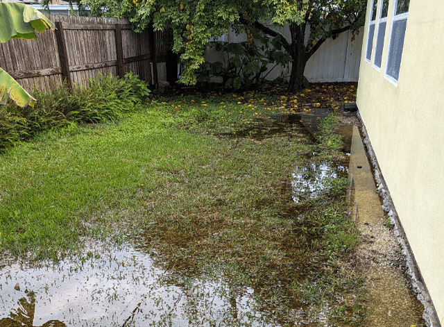 Water Pooling Near the Foundation