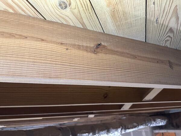 Crawl Space Mold Removal in Greater Savannah