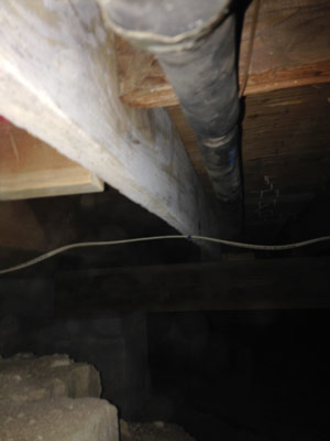 Crawl Space Mold