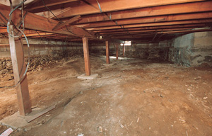 a wet, moldy crawl space in Farmington, NM