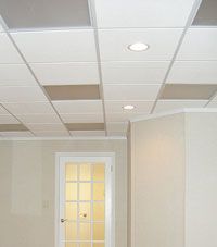 Basement Ceiling Tiles for a project we worked on in Dyke, Colorado