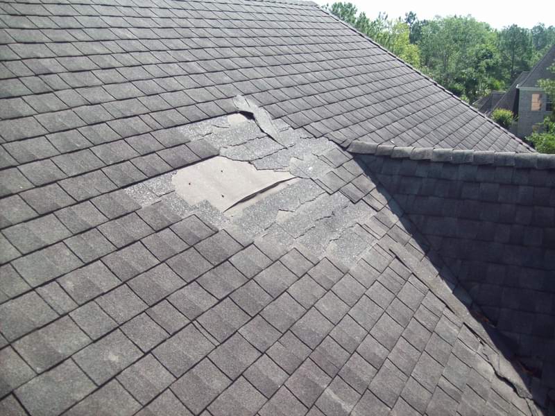 Damaged roof shingles