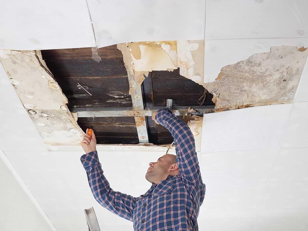 Roof repair for wood rot damage in West Hartford