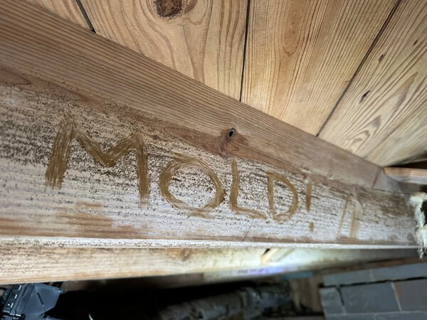 Before NuWood soda blasting mold treatment