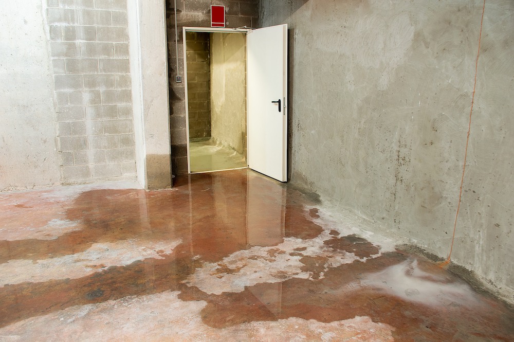 Flooded Basement in [state]