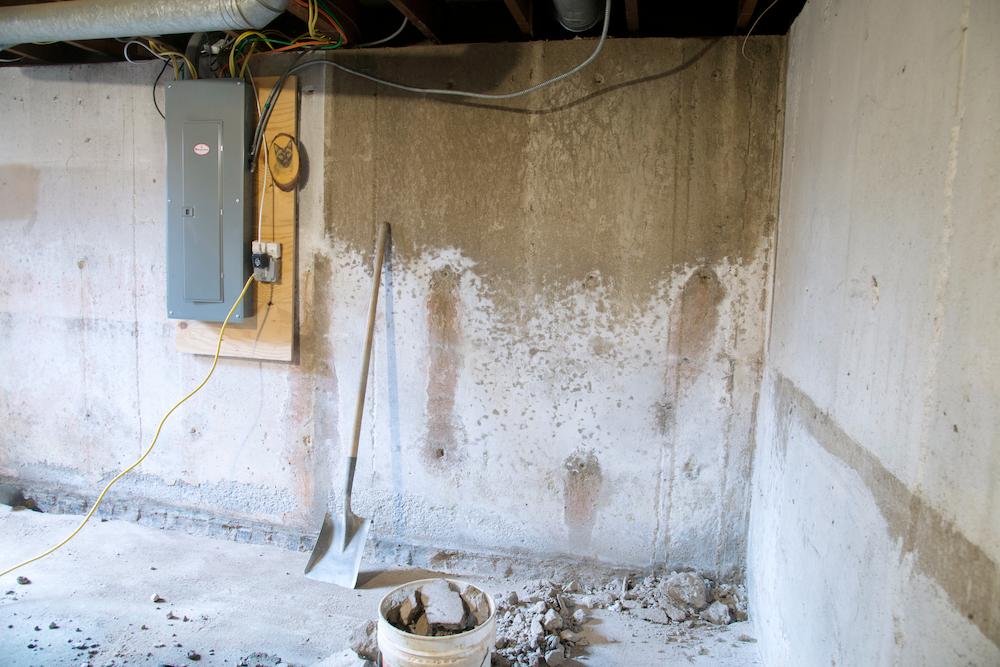 [city 1] Basement Humidity Problem
