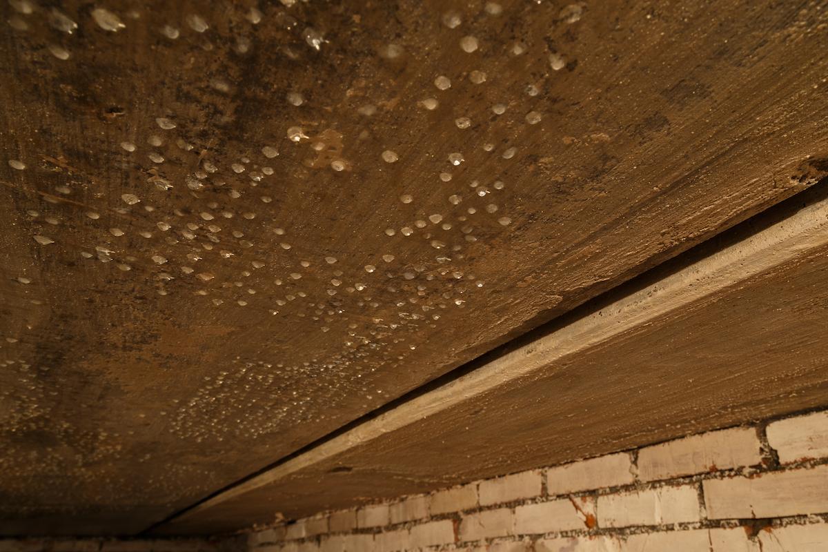 Basement Humidity Control in [territory]