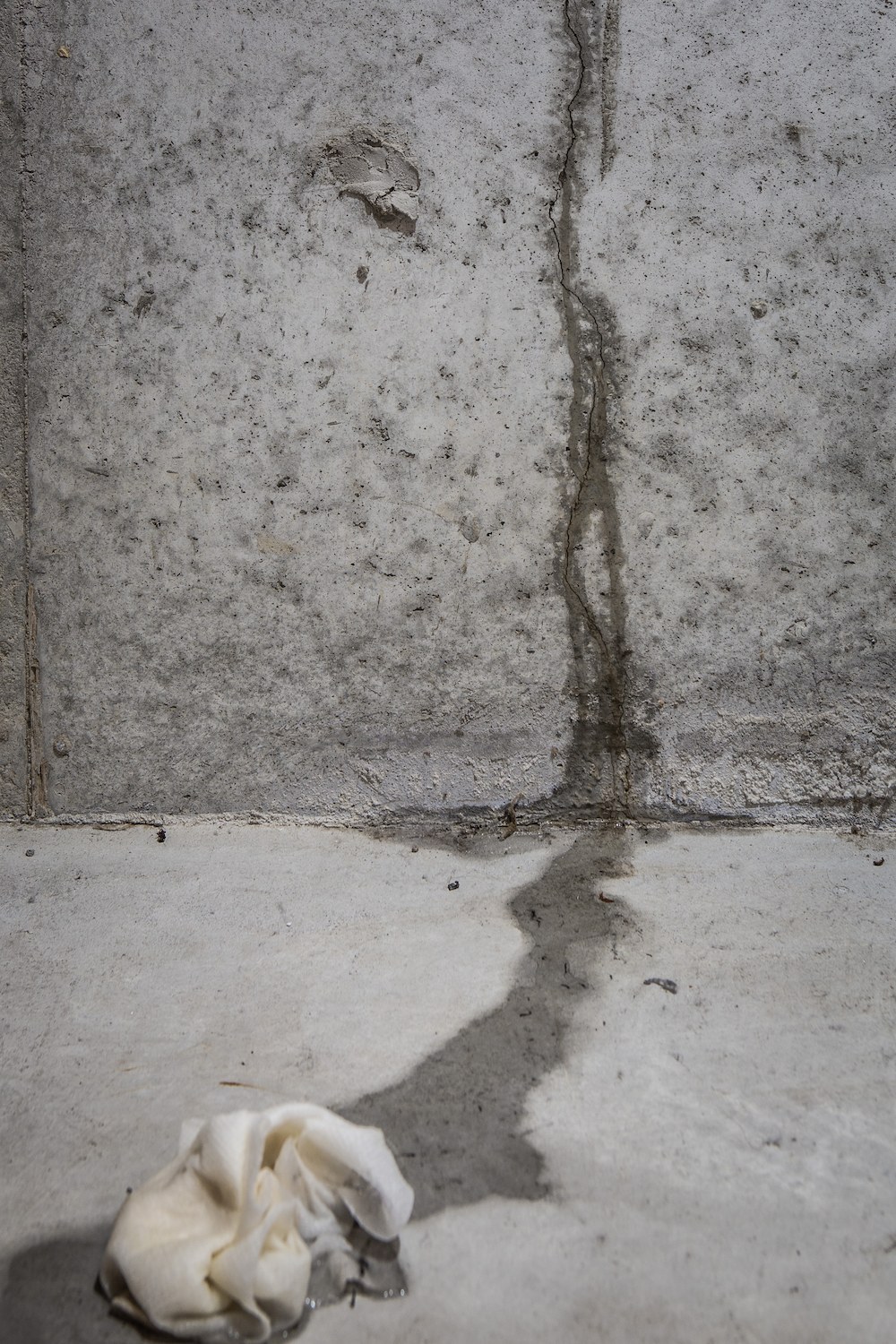 Wall Crack in Basement