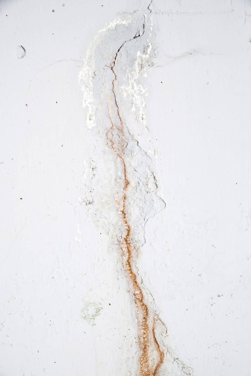 Basement Wall Crack in [state]