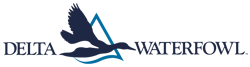 Delta Waterfowl