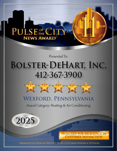 Pulse of the City Award