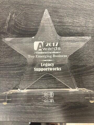 2017 Top Emerging Business Award