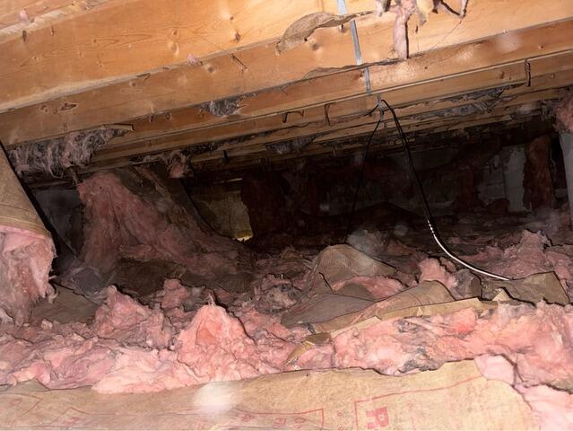 Crawlspace Encapsulation in Schenectady, NY - Before Photo
