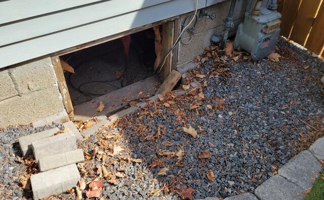 Crawl Space Door and Well - Windsor, ON - Before Photo