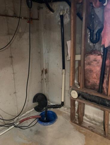 Sump Pump Protection - Poplar Hill - Before Photo