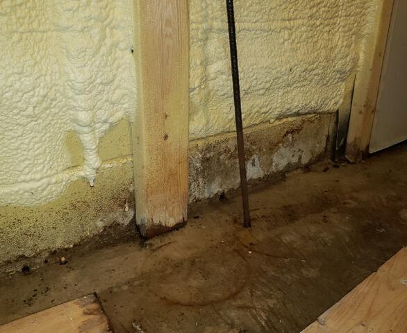 Basement Waterproofing - Ailsa Craig, ON - Before Photo