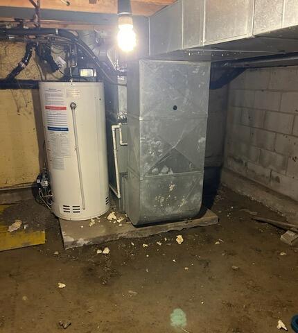 Clean Space in Bothwell, ON - Before Photo