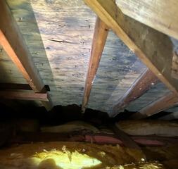 Removing Mold in Attic - London, ON