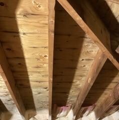 Removing Mold in Attic - London, ON