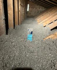 Fiberglass Removal and New Cellulose - Kent Bridge, ON