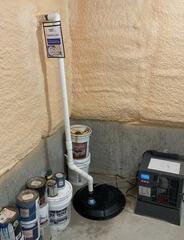 Damp Cold Cellar- Wallaceburg, ON
