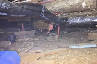 Bright Crawl Space - Goderich, ON