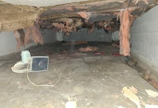 Crawl Space Clean Up - Merlin,ON