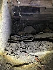 Crawl Space Clean Up - Appin, ON
