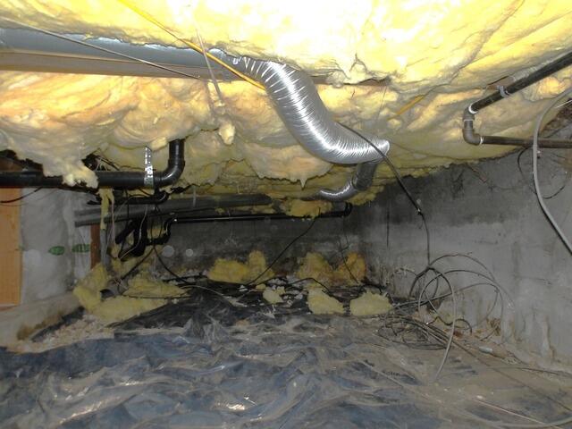 Port Angeles Encapsulation - Before Photo