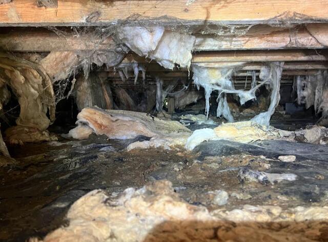 Messy Crawl Space in Forest, MS - Before Photo