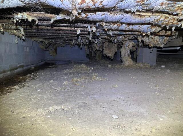 Wet and Falling Insulation in Lutcher, LA - Before Photo