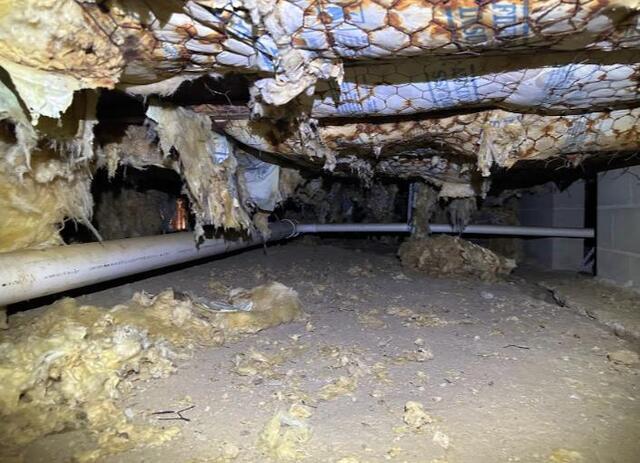 Crawl Space Drying & Cleaning in Monticello, MS - Before Photo