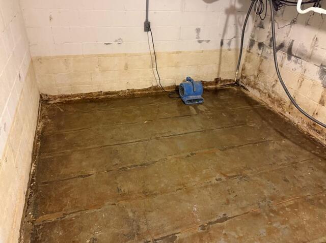 Keeping a Basement Dry in Brookhaven, MS