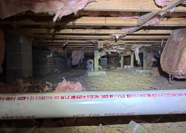 Abita Springs Crawl Space with Falling Insulation - Before Photo