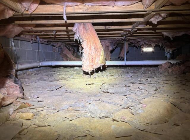 Cleaning and Protecting Madison, MS Crawl Space - After Photo