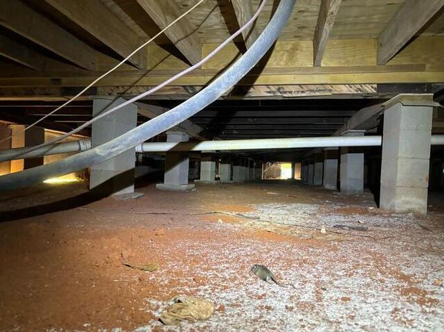 Crawlspace Transformation in Independence, LA - Before Photo