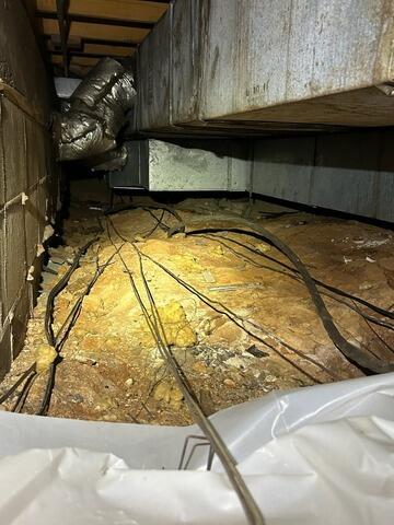 Wet Crawlspace in Meridian, MS