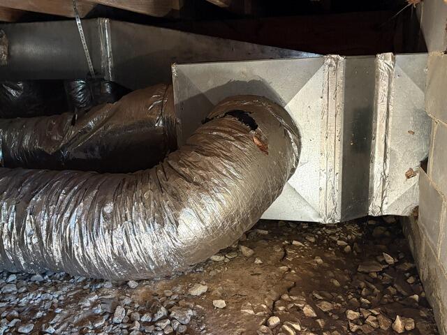 Crawlspace Moisture in Bailey, MS
