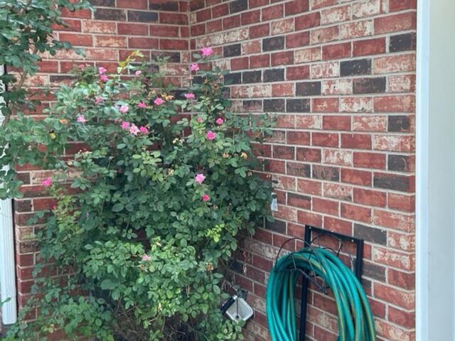 Foundation Issues in Brandon, MS