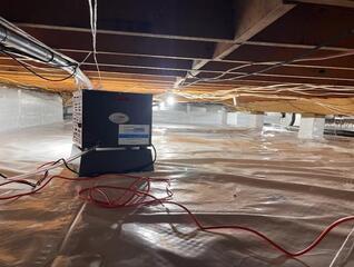 Crawl Space Mold Growth in Slidell, LA