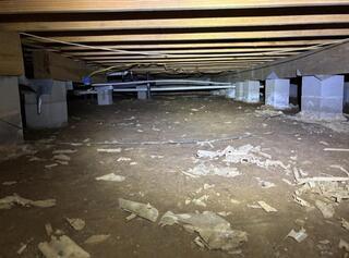 Mold Growth in Vicksburg, MS