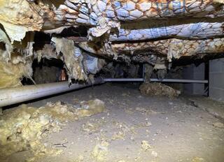 Crawl Space Drying & Cleaning in Monticello, MS